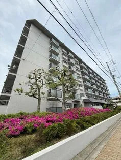 京都ロジュマン島町A-1棟【205号室】の外観