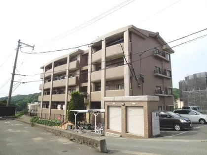 グリーンフォレストの画像