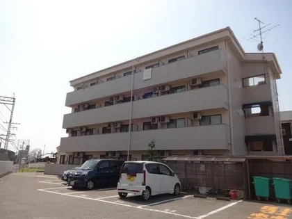 アドリーム松井の画像