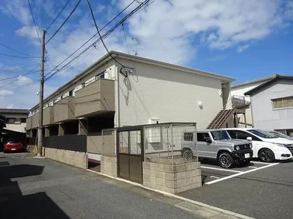 SOLANAの画像