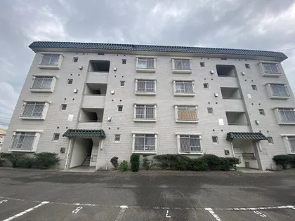 観世ハイツの画像