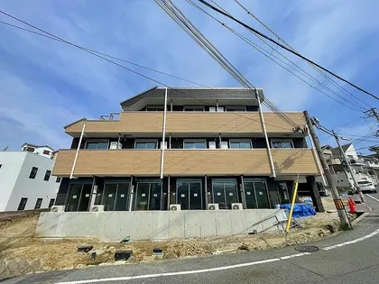 リリーセノラの画像