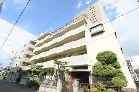 リーデンハイムダイヤの画像