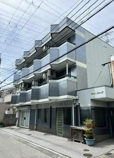 パレスオリーブの画像