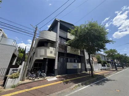 ヴィレッタ平和の画像