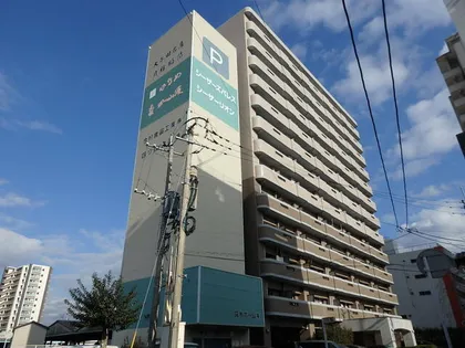 シーザーズパレス不知火の画像