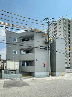 FLUKE TーFRONTの画像