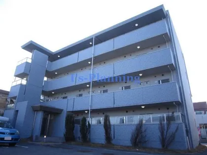 SOL ESTUDIOの画像