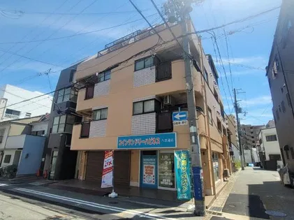 パラストミキの画像