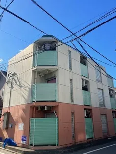 フルブルームの画像
