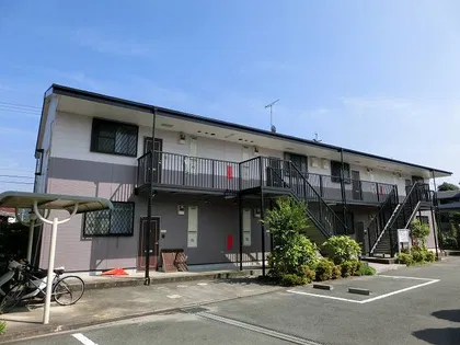 サンフラワーの画像