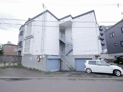 セントポーリアの画像