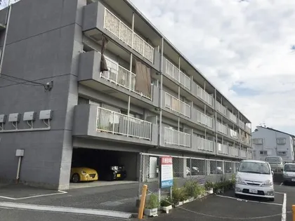 カノアの画像