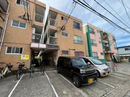 グレース井尻の画像