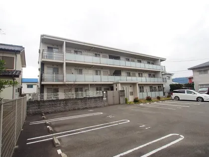 ステラ田隈の画像
