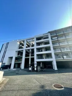 HIPPO8の画像