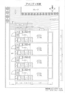 アメニテイ岩倉南【1階】の間取り
