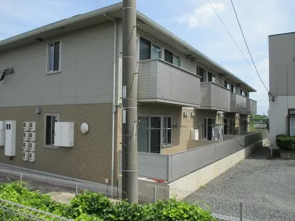 プランドールМの画像