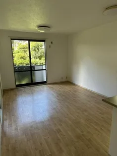 グリシーヌ ヒロの画像