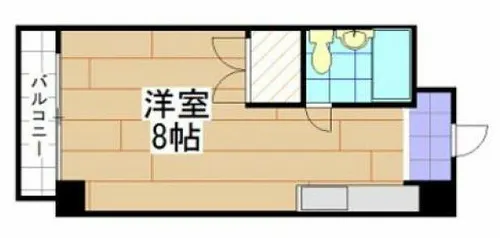 リアルシティ本城【511号室】の外観