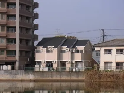 さくら さくらの画像