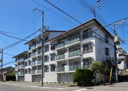 ハピネスの画像