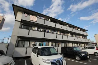 ハイカムール平田の画像