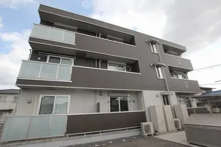 シュシュの画像