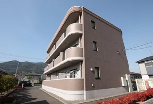 サンライズの画像