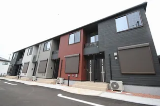 ドウェル コティヌスの画像