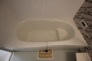 ポートサイドヴィラ Ⅱ【102号室】の風呂