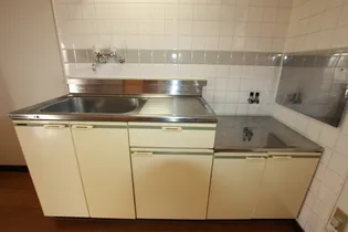 エルディムカタオカ【202号室】のキッチン