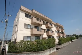 カルチェヴィラ華【202号室】の外観