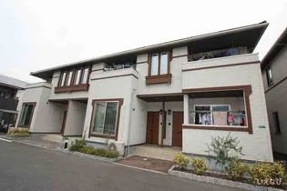 フィールド サンAの画像