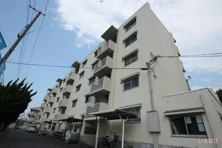 ビレッジハウス富岡3号棟【507号室】の外観