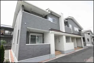 ビオーラT Bの画像