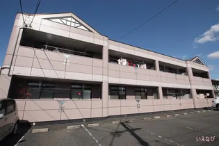 サンフィット橘【203号室】の外観