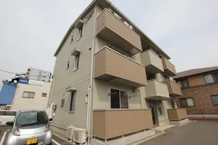 ステラの画像