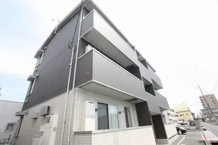 サフランの画像