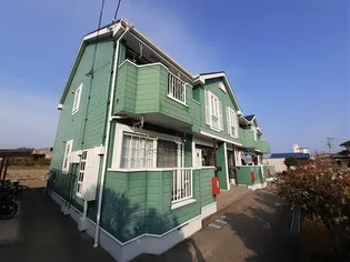 エヴァーグリーン Aの画像
