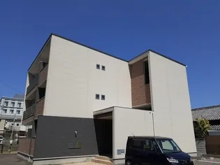 プラシード アルバの画像