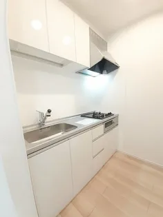 スカイメゾン【202号室】のキッチン