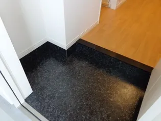 サンタクララ大隅【102号室】の玄関