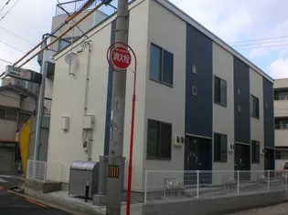 レオネクストパイナス塩上の画像