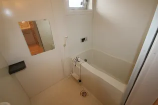 パークサウス【101号室】の風呂