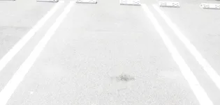 カサ ミラ【202号室】のその他画像