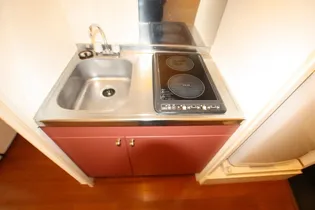 レオパレスワイドフォレスト【201号室】のキッチン