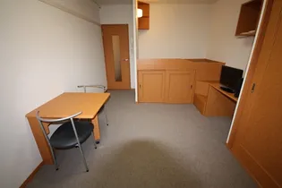 レオパレスワイドフォレスト【201号室】の居間