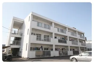 マリッチ溝渕Ⅱの画像