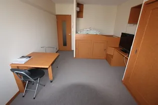 レオパレスレイクサイド平塚【206号室】の居間